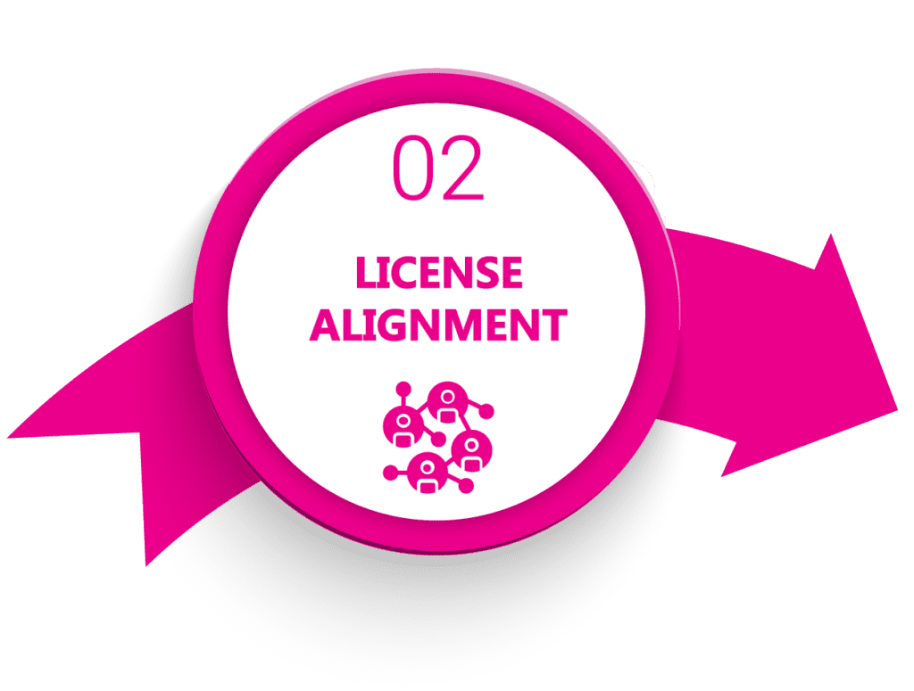 Step 2 - License Alignment